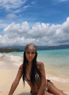 Gigi 22 best GFE 🇵🇭 mixed 🇨🇴 - escort in Manila Photo 17 of 20