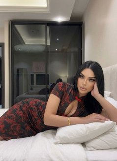 Gigi Vip - Transsexual escort in Riyadh Photo 1 of 14