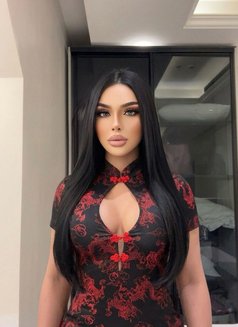 Gigi Vip - Transsexual escort in Riyadh Photo 10 of 14