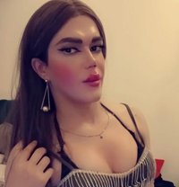 Gigi - Transsexual adult performer in Cairo
