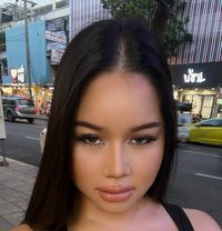 Gigi Famous cute and clean bkk🇹🇭 - Transsexual escort agency in Bangkok Photo 25 of 25