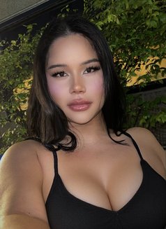 Gigi Famous cute and clean bkk🇹🇭 - Agencia de acompañantes transexuales in Bangkok Photo 27 of 28