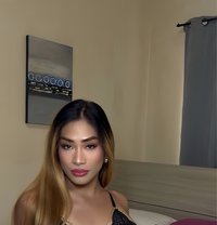 Gigi - Transsexual escort in Malta