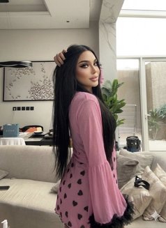 Gigi - Transsexual escort in Riyadh Photo 2 of 16