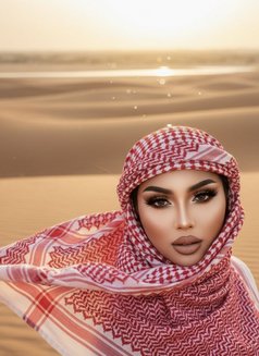 Gigi - Transsexual escort in Al Manama Photo 13 of 15