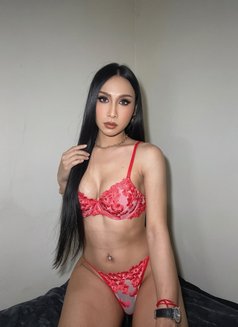 Gigi​ in Wanchai - Transsexual escort in Hong Kong Photo 15 of 27