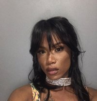 Gigi - Acompañantes transexual in Cape Town