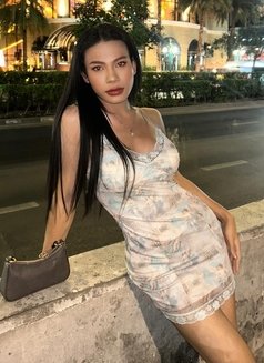 Gigi - Transsexual escort in Bangkok Photo 5 of 5