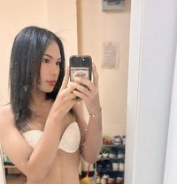 Gigi - Transsexual escort in Bangkok