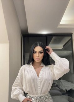 Gigi - Transsexual escort in Khobar Photo 14 of 15