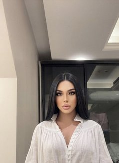 Gigi - Transsexual escort in Khobar Photo 15 of 15