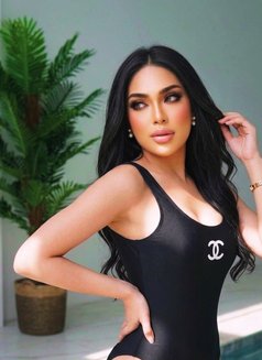 slave - Transsexual escort in Riyadh Photo 6 of 10