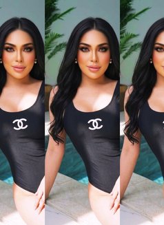 slave - Transsexual escort in Riyadh Photo 4 of 10