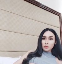 Gigi Top100% & Bottom 69 - Transsexual escort in Pattaya