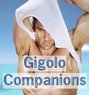 Gigolo Companions - Agencia de acompañantes masculinas in Johannesburg Photo 1 of 1