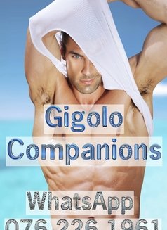 Gigolo Companions - Male escort agency in Johannesburg Photo 1 of 1