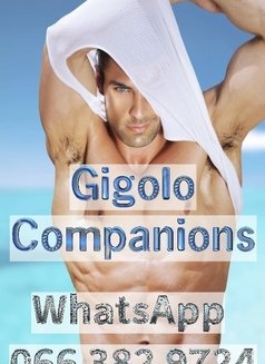 Gigolo Companions - Male escort agency in Johannesburg Photo 2 of 2