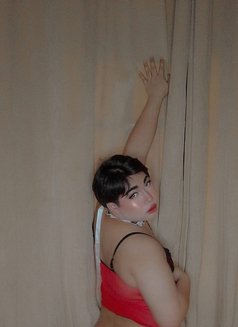 GINA Both In Mabelah 🇴🇲(Muscat Oman) - Transsexual escort in Muscat Photo 7 of 8