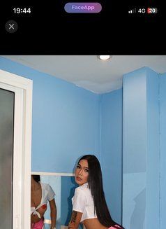 Gina - Transsexual escort in Pattaya Photo 6 of 6