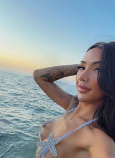 Gina Kyp - Acompañantes transexual in Pattaya Photo 5 of 6