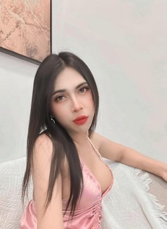 Gina Ladyboy New in khobar - Transsexual escort in Khobar Photo 6 of 11