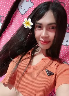 Gina Ladyboy New in khobar - Transsexual escort in Khobar Photo 8 of 11