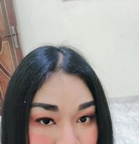 Gina Ladyboy - Transsexual escort in Al Sohar