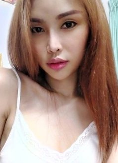 Gina Sexy Girl - escort agency in Bangkok Photo 8 of 8
