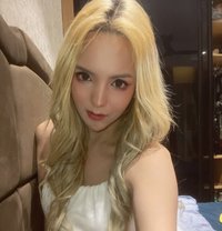 Gina🦊 - escort in Chandigarh