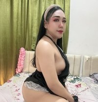 Gina - Acompañantes transexual in Chiang Mai