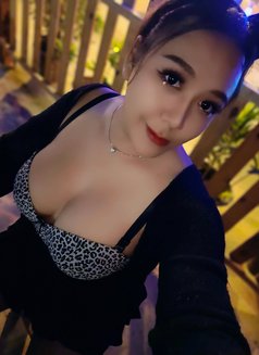 Gina - Acompañantes transexual in Phitsanulok Photo 6 of 6