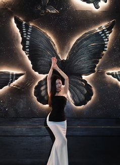 Ginny NEW girl in Koza/chatan - escort in Okinawa Island Photo 11 of 14