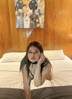 Gio Curvy Baby - escort in Bali Photo 3 of 18