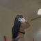 Girl in sohar outcall - escort in Al Sohar Photo 3 of 19