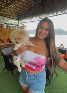Girl100%Young and Good Suck 18 years - companion in Phuket Photo 13 of 15