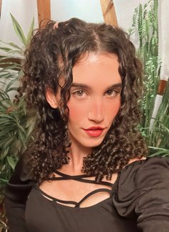 Giselle - Transsexual escort in Amsterdam Photo 19 of 30