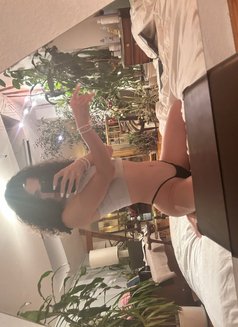 Giselle - Transsexual escort in Amsterdam Photo 28 of 30