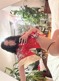 Giselle - Transsexual escort in Amsterdam Photo 29 of 30