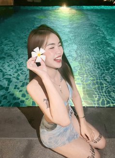 Givesy Available. - escort in Okinawa Island Photo 4 of 8