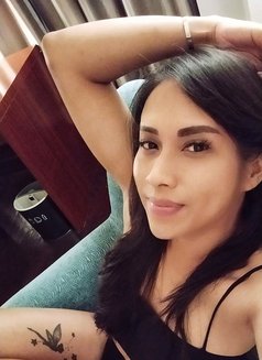 Gladys Ladyboy Jakarta - Transsexual escort in Jakarta Photo 6 of 10