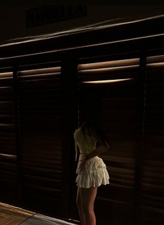 Gladys Sexy Hardcock (PARTY🧊) - Acompañantes transexual in Bali Photo 10 of 10