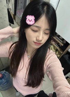 酒店出差找小姐加gleezy: Tmjz66 - escort in Taipei Photo 9 of 19