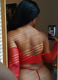 Gloria - Acompañantes transexual in Dubai Photo 1 of 1