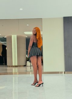 Gloria - escort in Bangkok Photo 1 of 5
