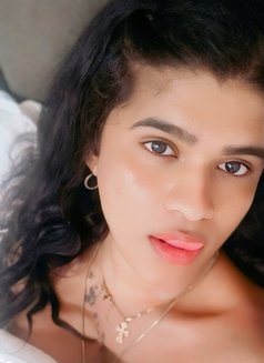Glowery - Transsexual escort in Chennai Photo 6 of 7