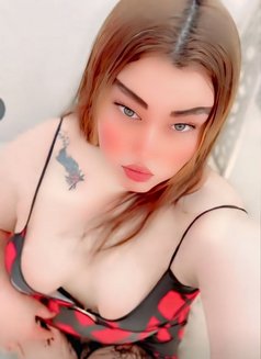 Go Go - Acompañantes transexual in Cairo Photo 4 of 13