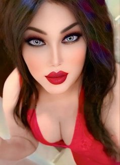 Go Go - Acompañantes transexual in Cairo Photo 9 of 13