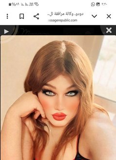 Go Go - Acompañantes transexual in Cairo Photo 12 of 13