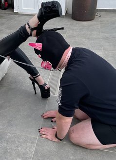 Goddess Alice - dominatrix in Copenhagen Photo 3 of 9