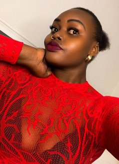 Goddess Angel - escort in Noida Photo 3 of 3